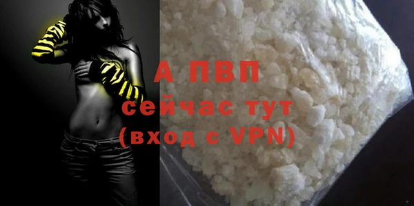 шишки Абаза