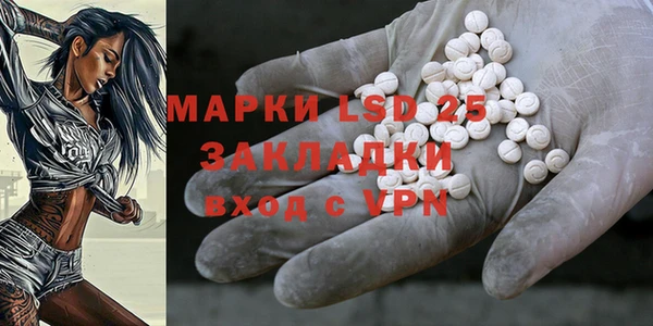 spice Осинники