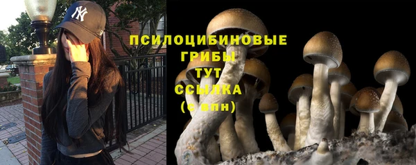 МДПВ Алзамай