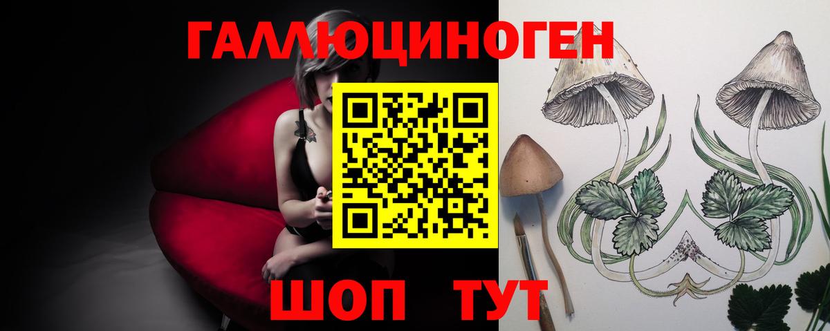 Галлюциногенные грибы GOLDEN TEACHER Сарапул
